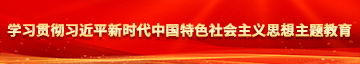 艹操网站学习贯彻习近平新时代中国特色社会主义思想主题教育